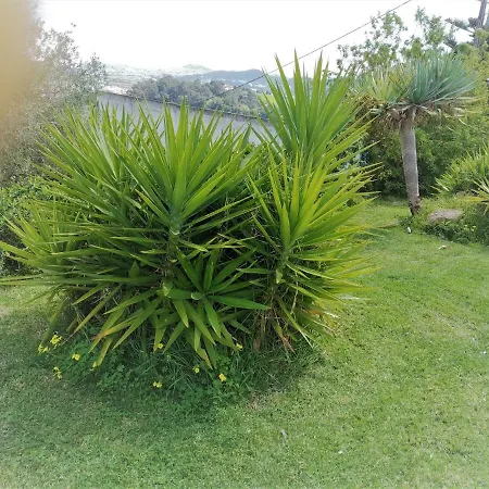 Quinta Da Brunette Mafra