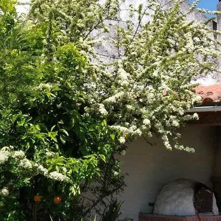 Quinta Da Brunette Villa Mafra
