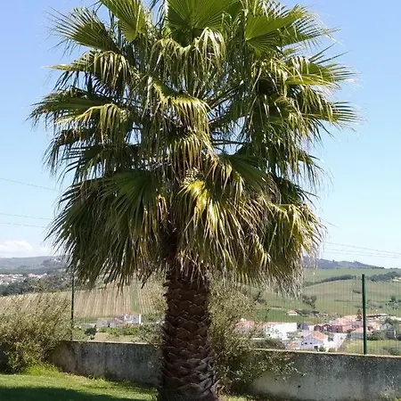 Villa Quinta Da Brunette *